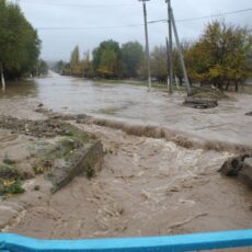 Улицы и дворы поселка затопило дождями в Туркестанской области