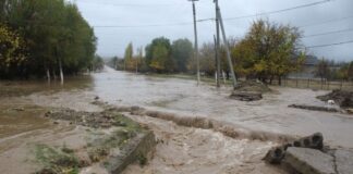 Улицы и дворы поселка затопило дождями в Туркестанской области