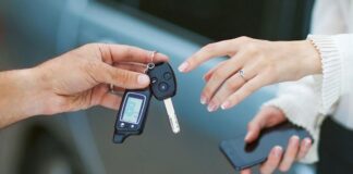 Мошенник продавал арендованные авто в Кентау