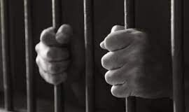 ОПГ за решеткой создали в Туркестанской области