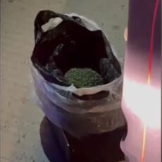 Около 1 кг марихуаны изъяли у жителя Туркестана марихуана