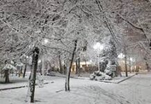 Какая погода будет в новогоднюю ночь? снег