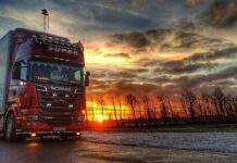 Шымкентец лишился миллионов, желая стать дальнобойщиком в Швеции