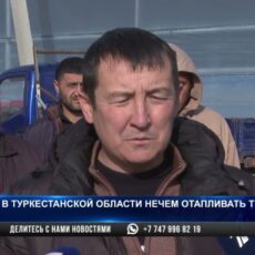 В Туркестанской области нечем отапливать теплицы