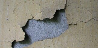 В стенах шымкентской новостройки обнаружили щели и крыс