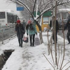 photo_271209