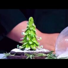 Шымкентский шоколатье покорил кулинарное шоу и Рената Агзамова