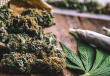 Марихуану весом в 1,5 кг изъяли у жителя Казыгуртского района