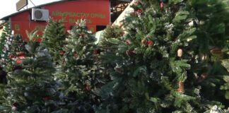 Ёлка и новогодний декор подорожали