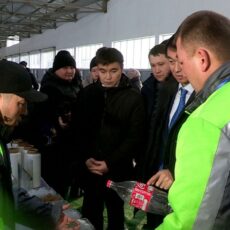 Новые предприятия запускают и тестируют в Туркестанской области