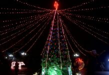 Огни новогодней ёлки зажглись в парке Шымкента