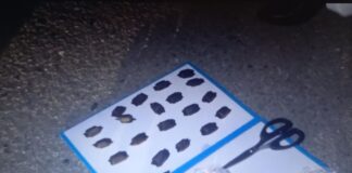 Крупную партию мефедрона нашли у 53-летней женщины