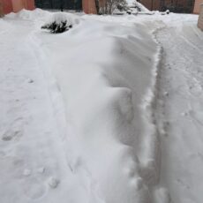 Снежный «апокалипсис» накрыл южный мегаполис