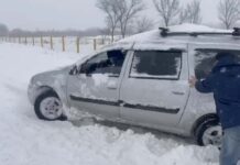 Более 80 автомобилей застряли в снегу в Туркестанской области