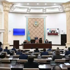 «Демократия- ответственность за слова и действия». Токаев на заседании Сената