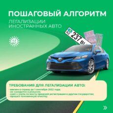 Как в Шымкенте будет проходить легализация иностранных авто
