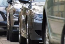 114 авто легализовали в Шымкенте за 4 дня