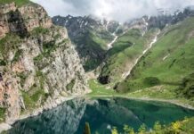 Гендир Сайрам-Угамского нацпарка и его коллеги изобличены в коррупции