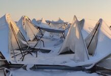 Небывалые морозы погубили урожай на юге Казахстана