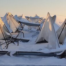 Небывалые морозы погубили урожай на юге Казахстана