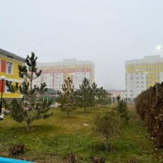 Каким будет февраль на юге Казахстана