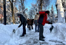 На общегородской субботник зовут жителей Шымкента