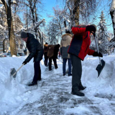 На общегородской субботник зовут жителей Шымкента