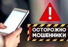 «Снять с учета» иностранные авто предлагают интернет-мошенники