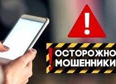 «Снять с учета» иностранные авто предлагают интернет-мошенники