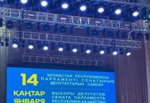 Нурлан Бекназаров набрал большинство голосов на выборах в Сенат