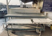 Обглоданный череп, наркотики и продукты в морозилке. Жуткие откровения судмедэкспертов