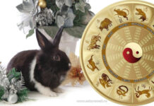 Какими переменами сулит год Кролика