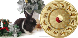 Какими переменами сулит год Кролика