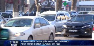 Нарушителей ПДД в Шымкенте стало больше