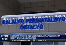 Кому, как и когда? Всё о бесплатном ЭКО в Шымкенте