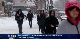 Грипп, коронавирус и ОРВИ: Как уберечься от тройного удара