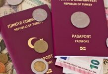 60 человек пострадали от рук аферистов, обещавших работу в Турции паспорт Турции