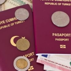 60 человек пострадали от рук аферистов, обещавших работу в Турции паспорт Турции