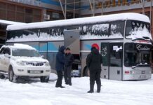 Трассы открыты: Перевозчики продолжают курсировать по всем направлениям