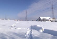 Местный авторынок стал поводом раздора для бизнесменов и горожан