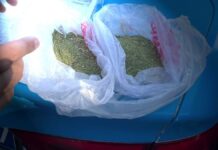 Почти 1,5 тонны наркотиков изъяли в Туркестанской области за 2022 год