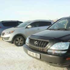 Как прошел первый день легализации иностранных авто