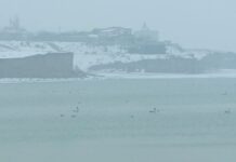 Шардаринское водохранилище в Туркестанской области заполнено почти на 83%