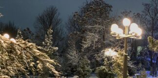 Шымкент: Эта зима будет самой холодной за последние 3 года