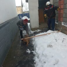Собаку вытащили из уличного туалета в Шымкенте Спасатели помогают собаке