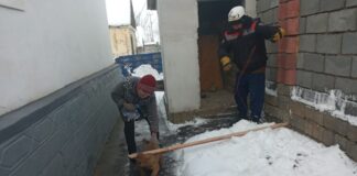 Собаку вытащили из уличного туалета в Шымкенте Спасатели помогают собаке