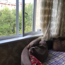В Шымкенте из окна выпали двое малышей