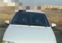 Туркестанец попался с липовым номером