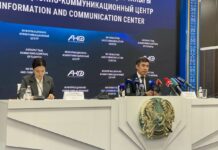 В Шымкенте начнётся чипирование и стерилизация бездомных животных