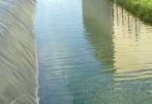 Новая технология по очистке подземных вод придумали в Шымкенте